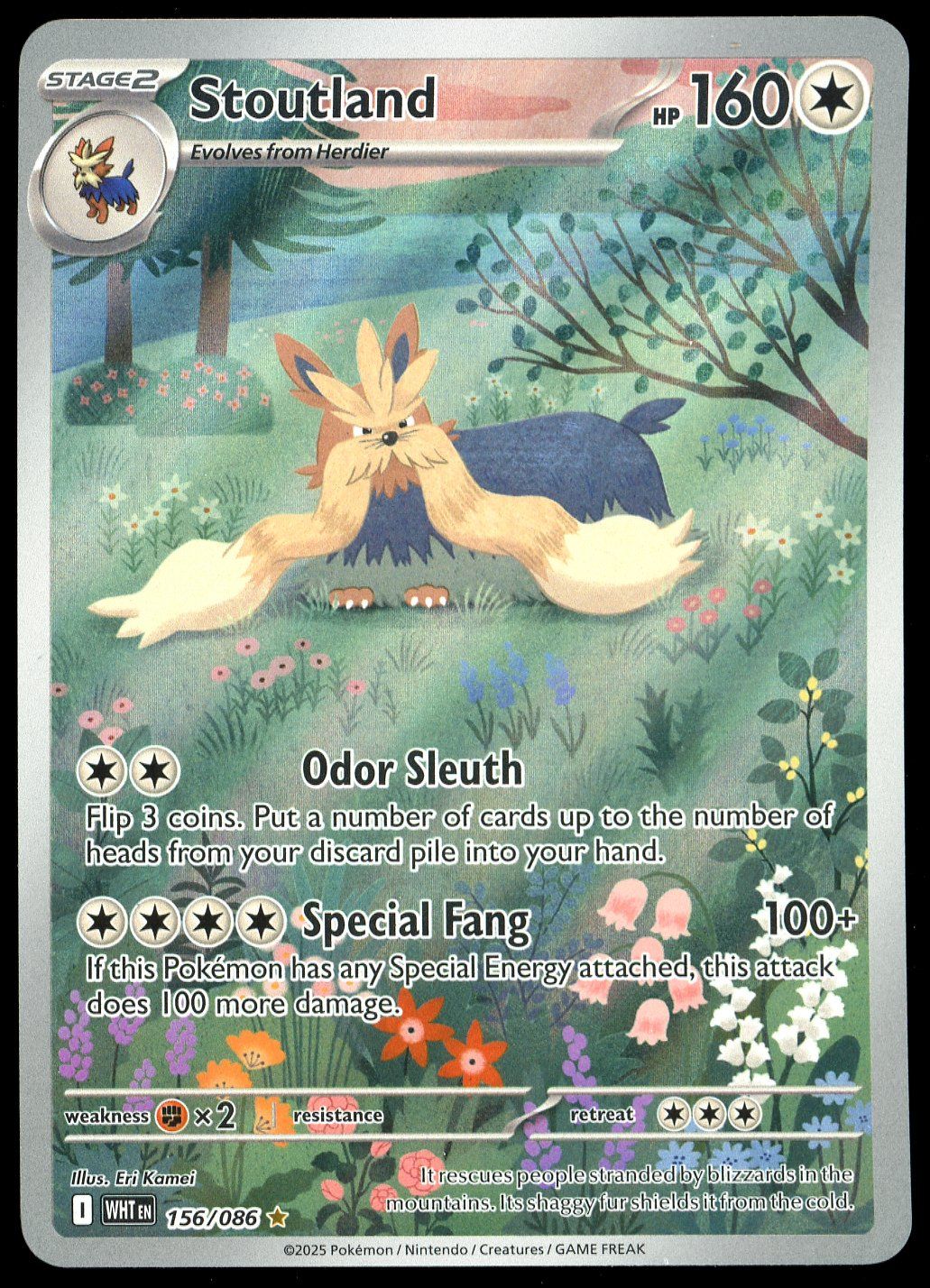 Pokemon White Flare 2025 - Stoutland #156