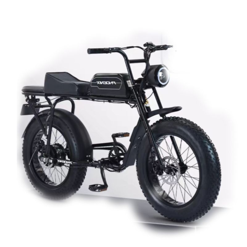 Super73 New National Standard Lithium Battery Electric Bicycle Retro Off-road Snow Assist Motorcycle Small Electric Bicy