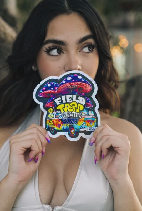 University Field Trip Psychedelic Gummies