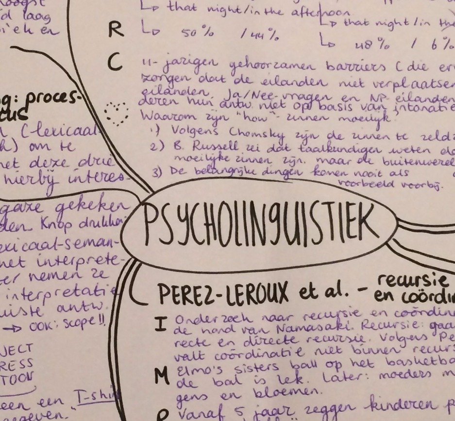 Samenvatting Psycholinguïstiek 2 door Rosanne. PDF-bestand met zowel collegestof als de verplichte literatuur. Docent: B. Hollebrandse, Rijksuniversiteit Groningen.