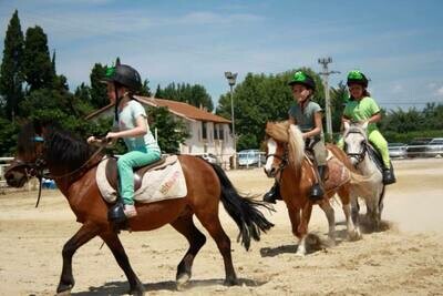 Cours cavalier de passage poney (6-10 ans)