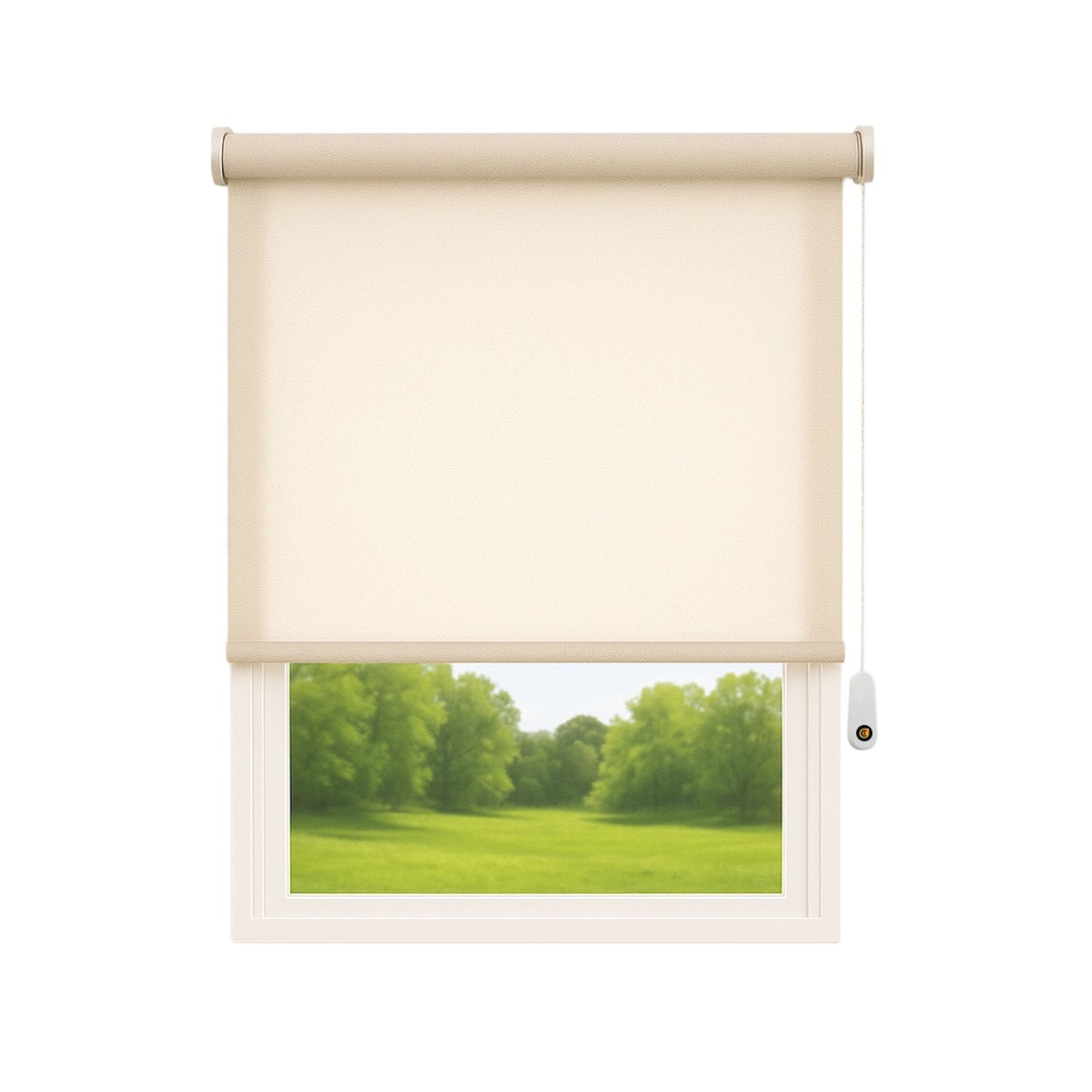 Cortina Roller Traslucido