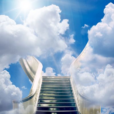 Mediumship Session for People and Pets (Including Unborn or Stillbirth)