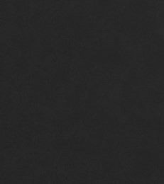 108" Wide Flannel - Willow - Black