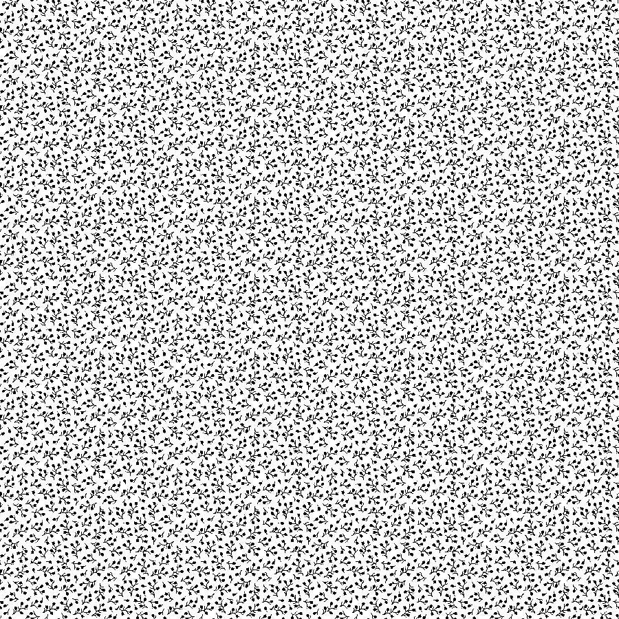 Basically Black &amp; White - Baby's Breath - Black on White