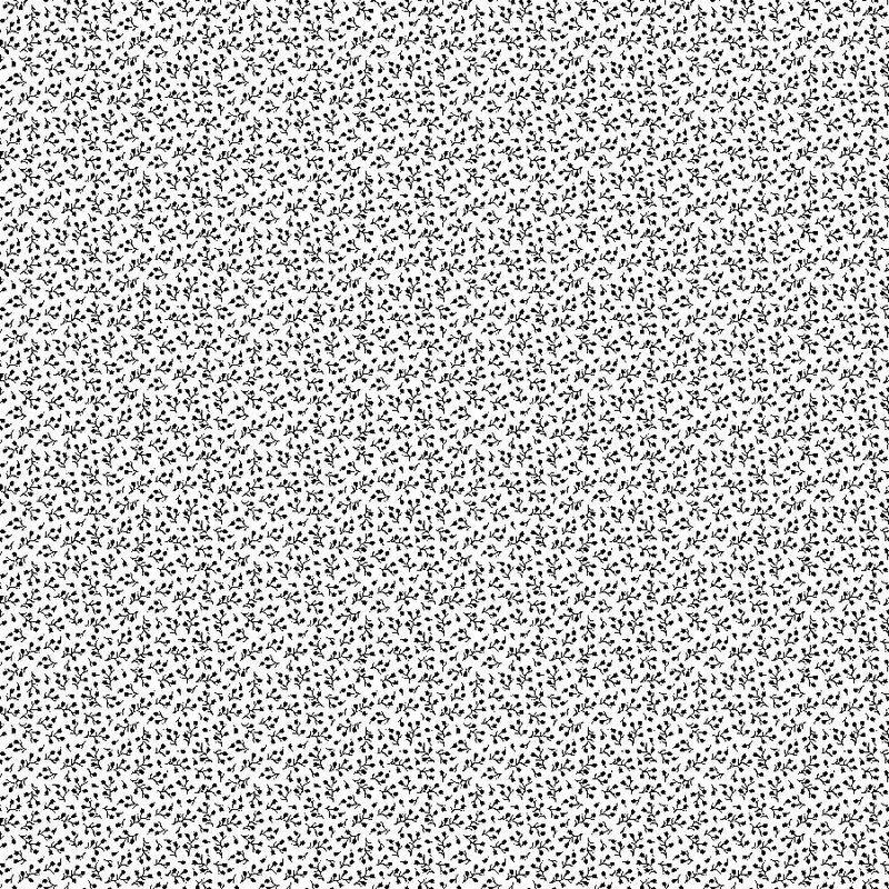 Basically Black &amp; White - Baby's Breath - Black on White