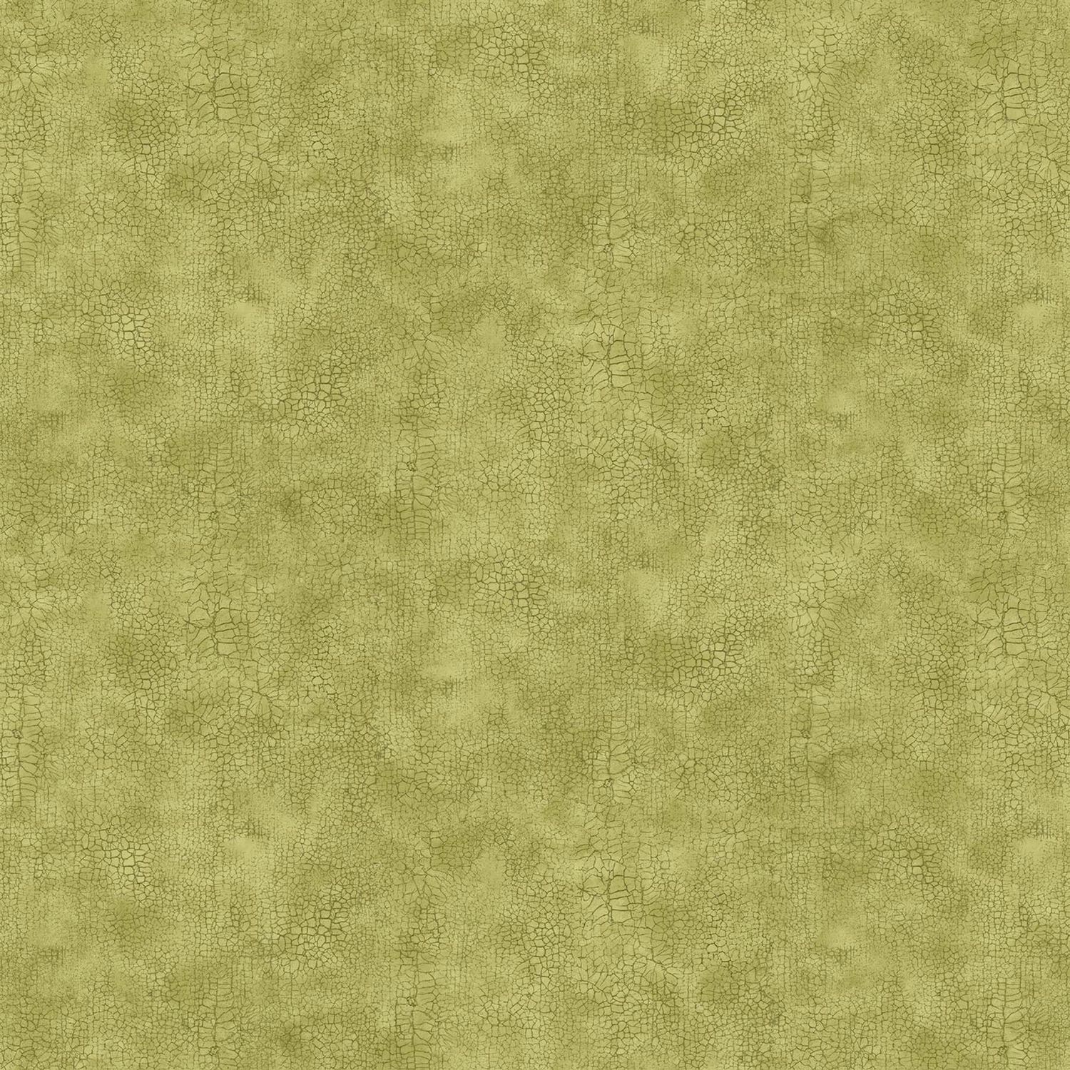 Crackle - Colour 73 - Moss