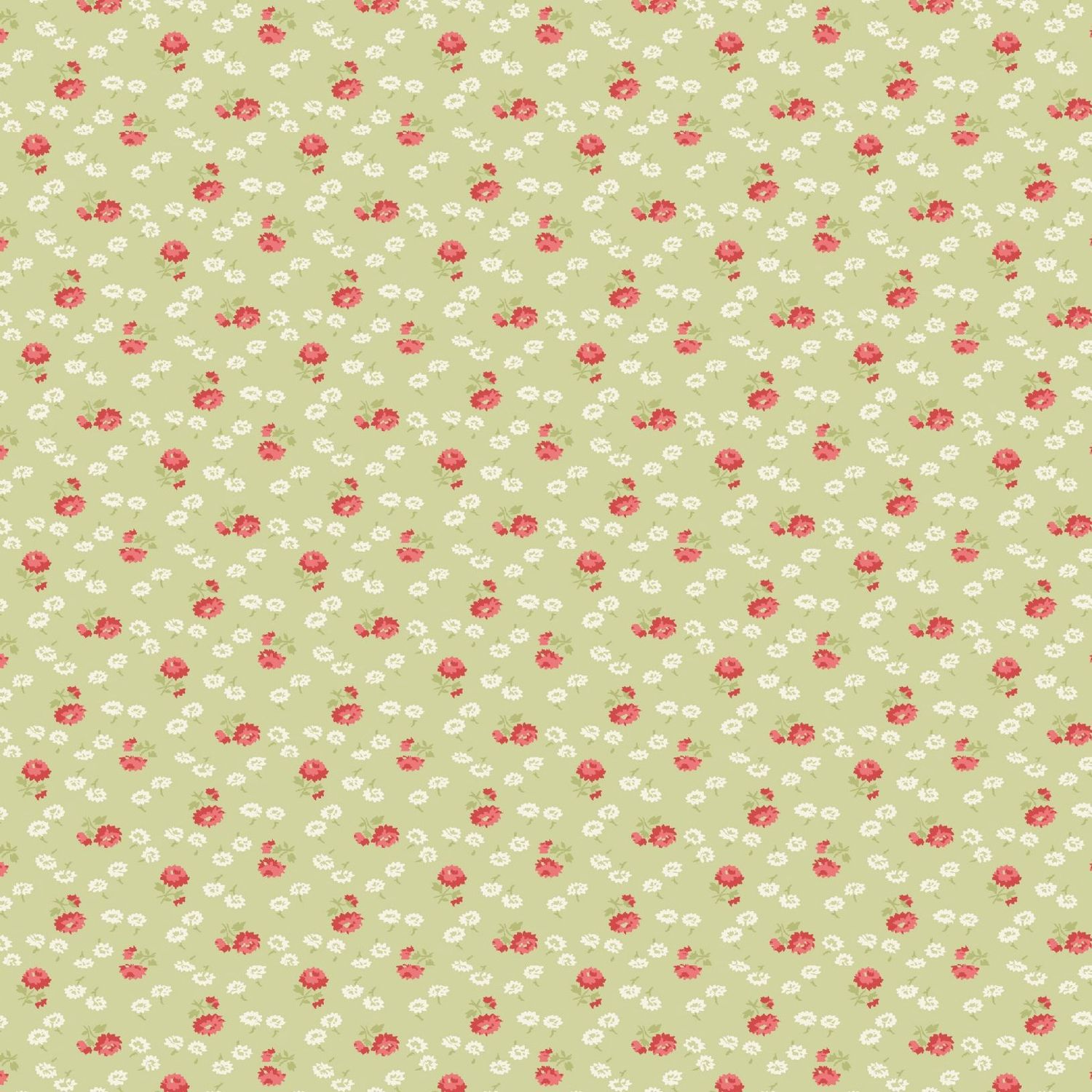 Sentiments - Daisies - Green