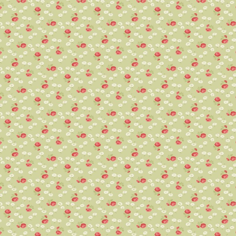 Sentiments - Daisies - Green