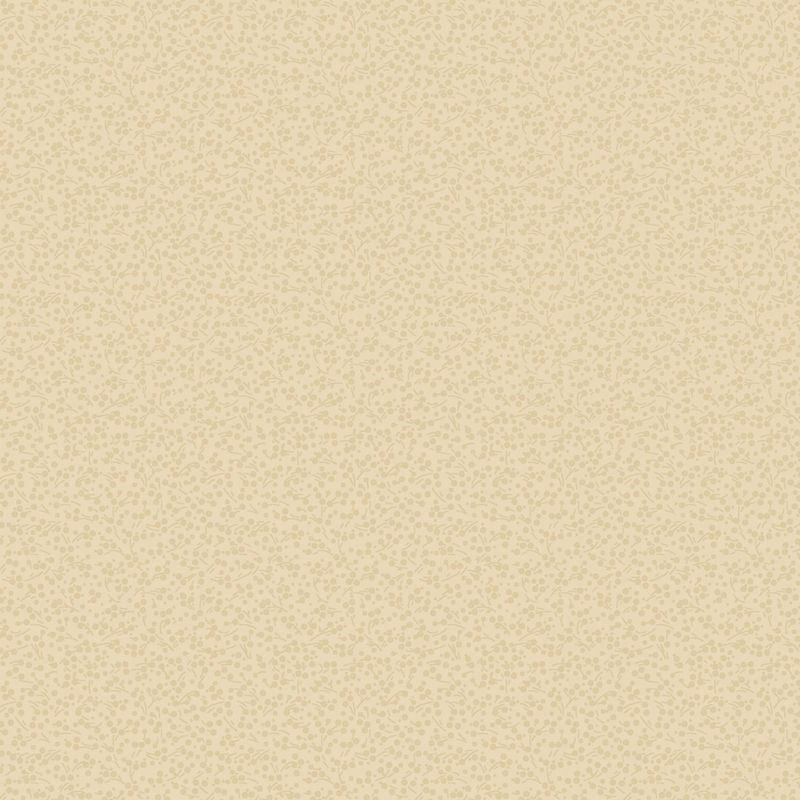 Sentiments - Dotty - Cream