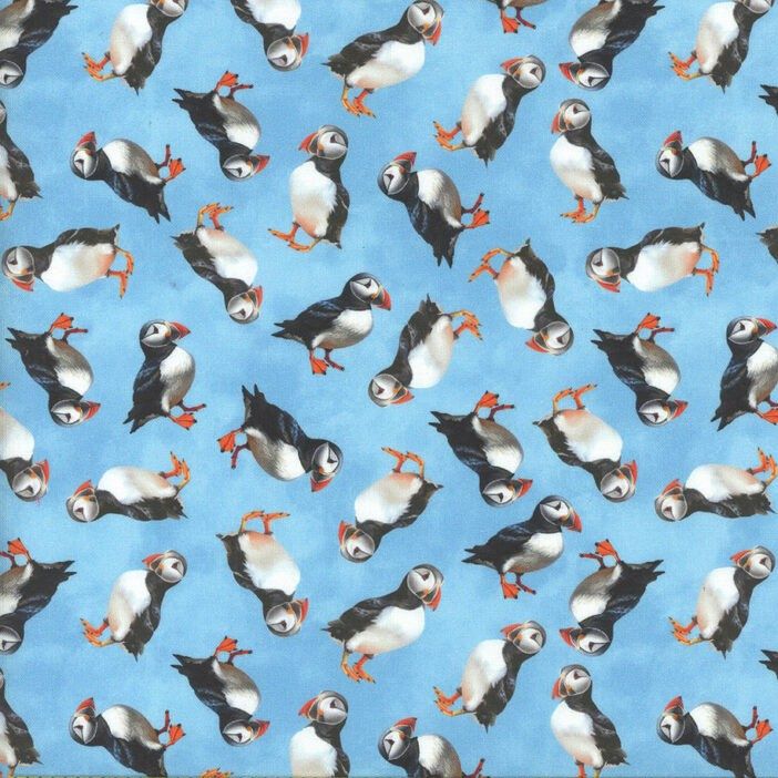 Puffins in the Seasons