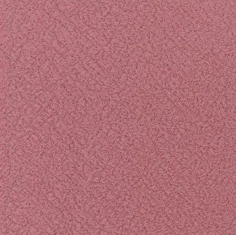 Blaze Backing - 60" - Rose