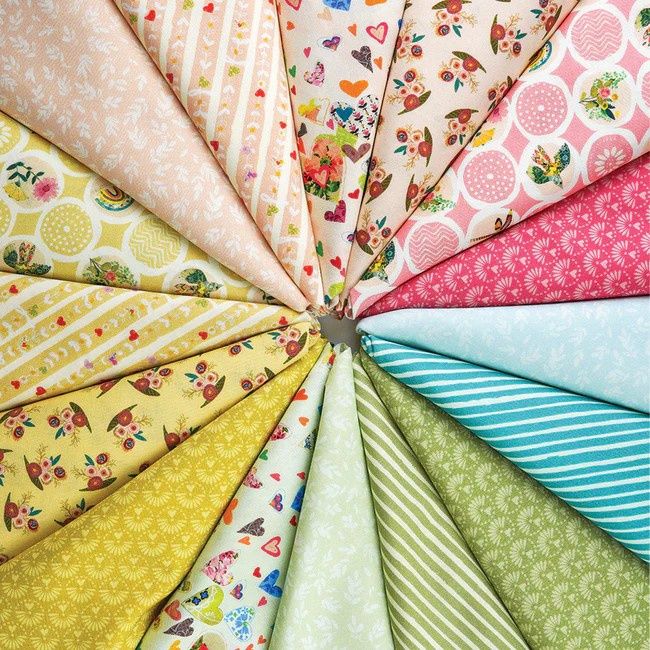 Follow Your Joy Jelly Roll