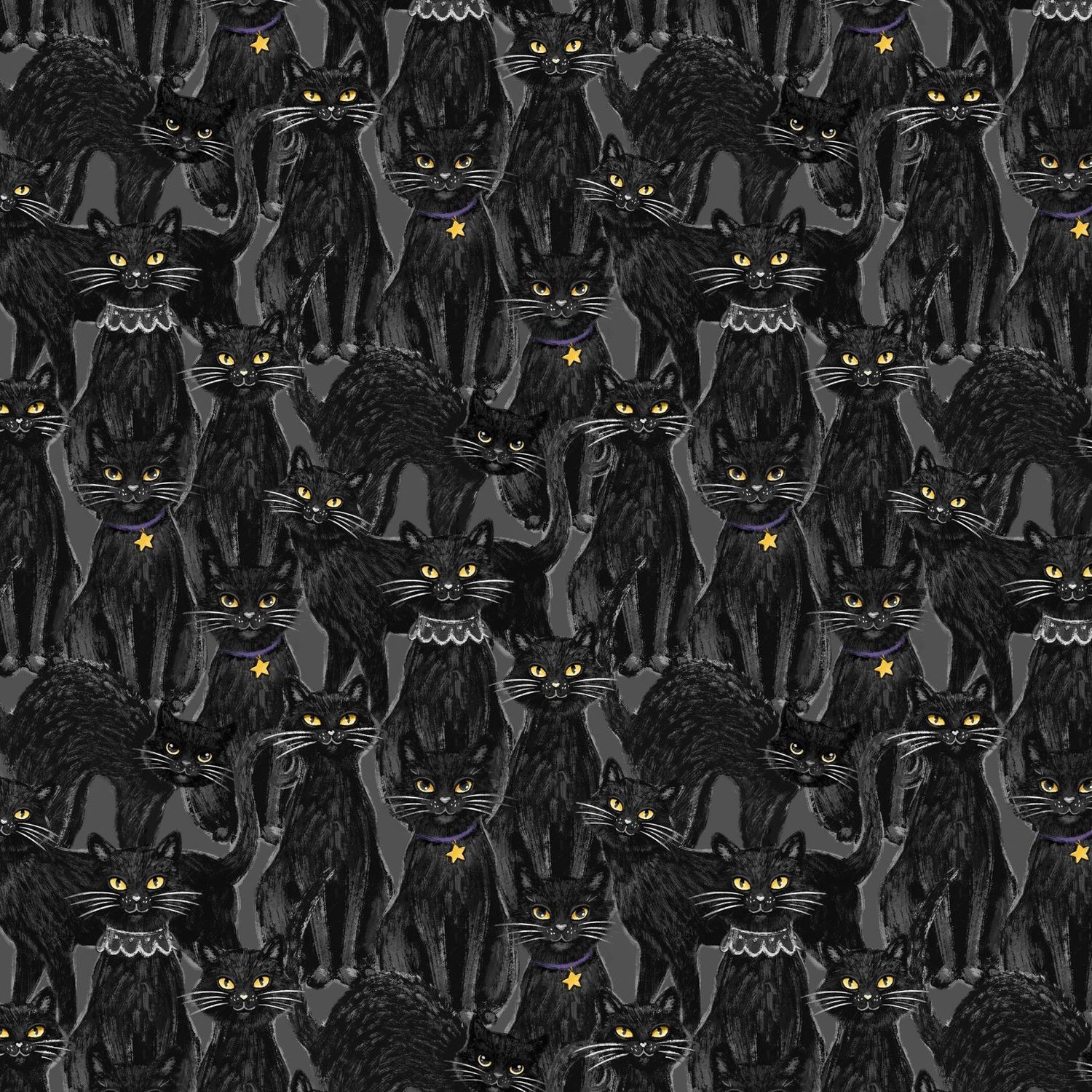 Meow-Gical Night - Black Cats
