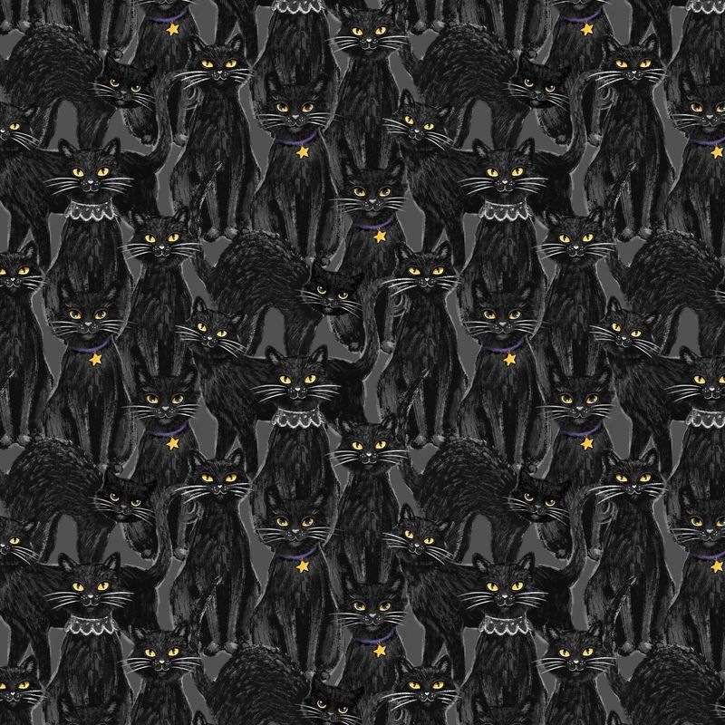 Meow-Gical Night - Black Cats