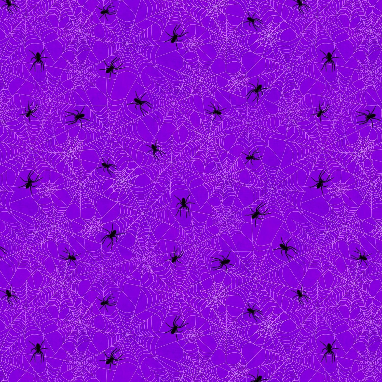 Frightful Night - Spider Web - Purple