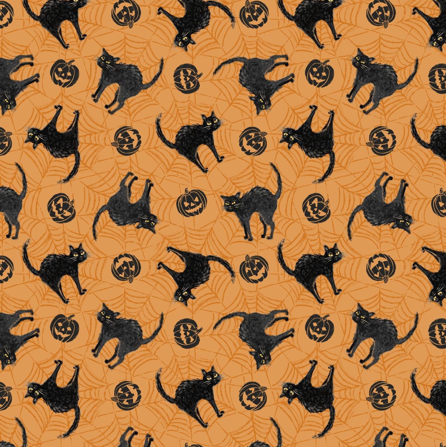Meow-Gical Night - Black Cats on Orange