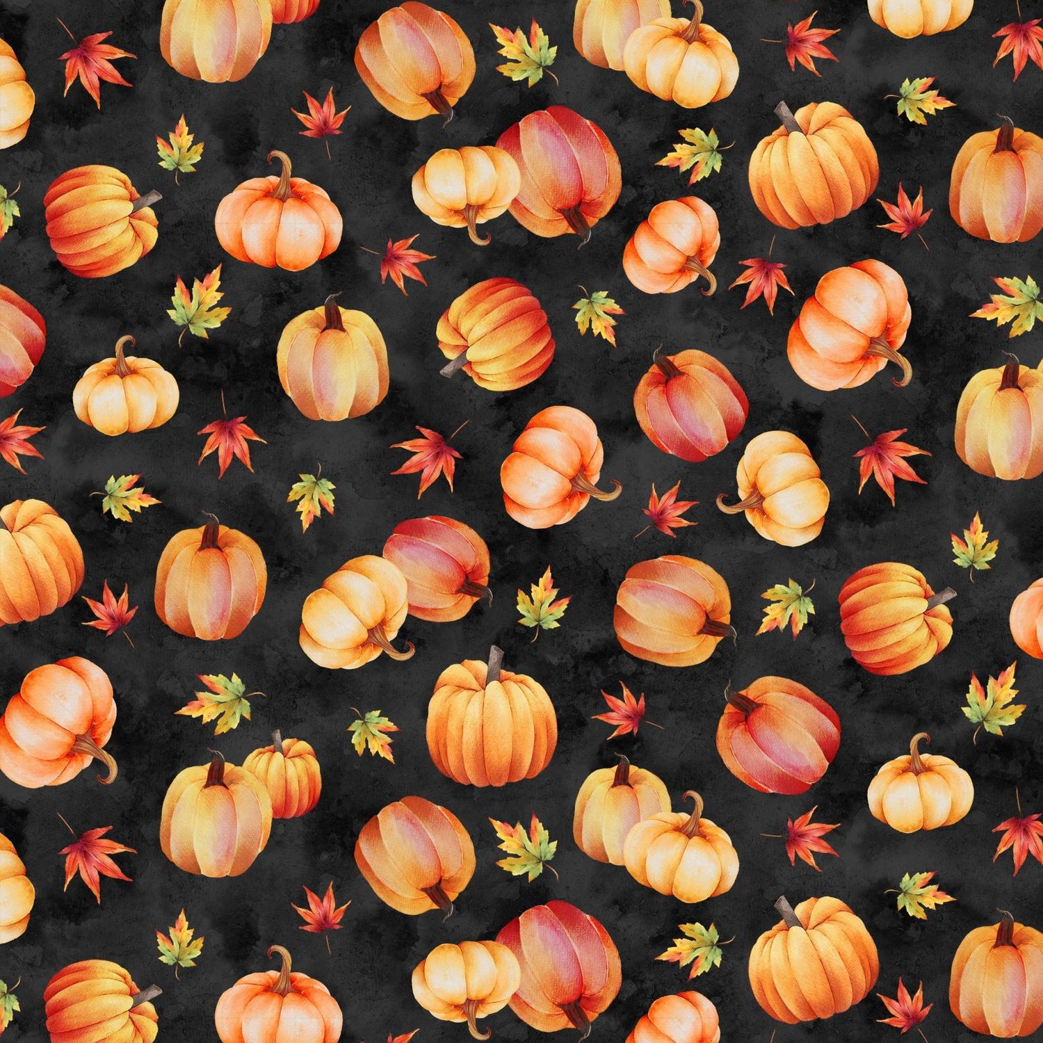 Autumn Light - Pumpkins