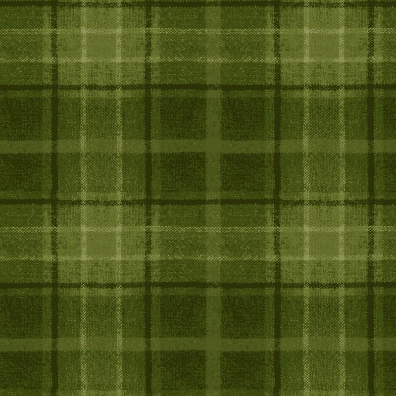 Snowtop Mountain Flannel - Big Plaid - Green