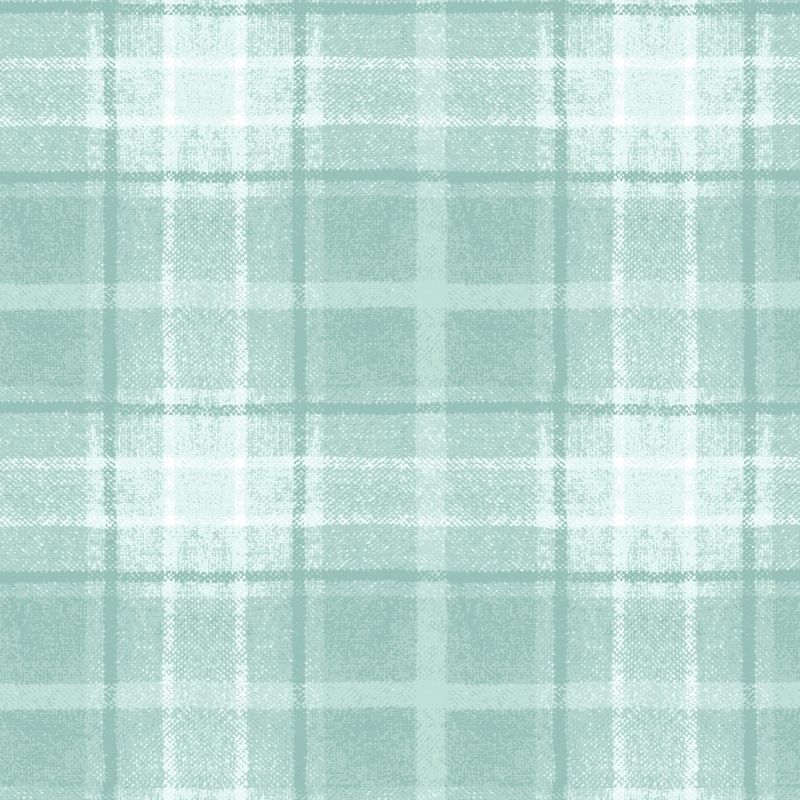Snowtop Mountain Flannel - Big Plaid - Aqua