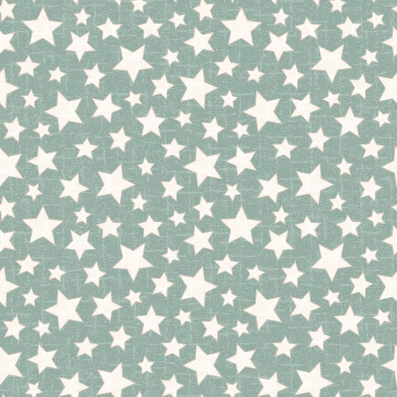 Snowtop Mountain Flannel - Stars - Aqua