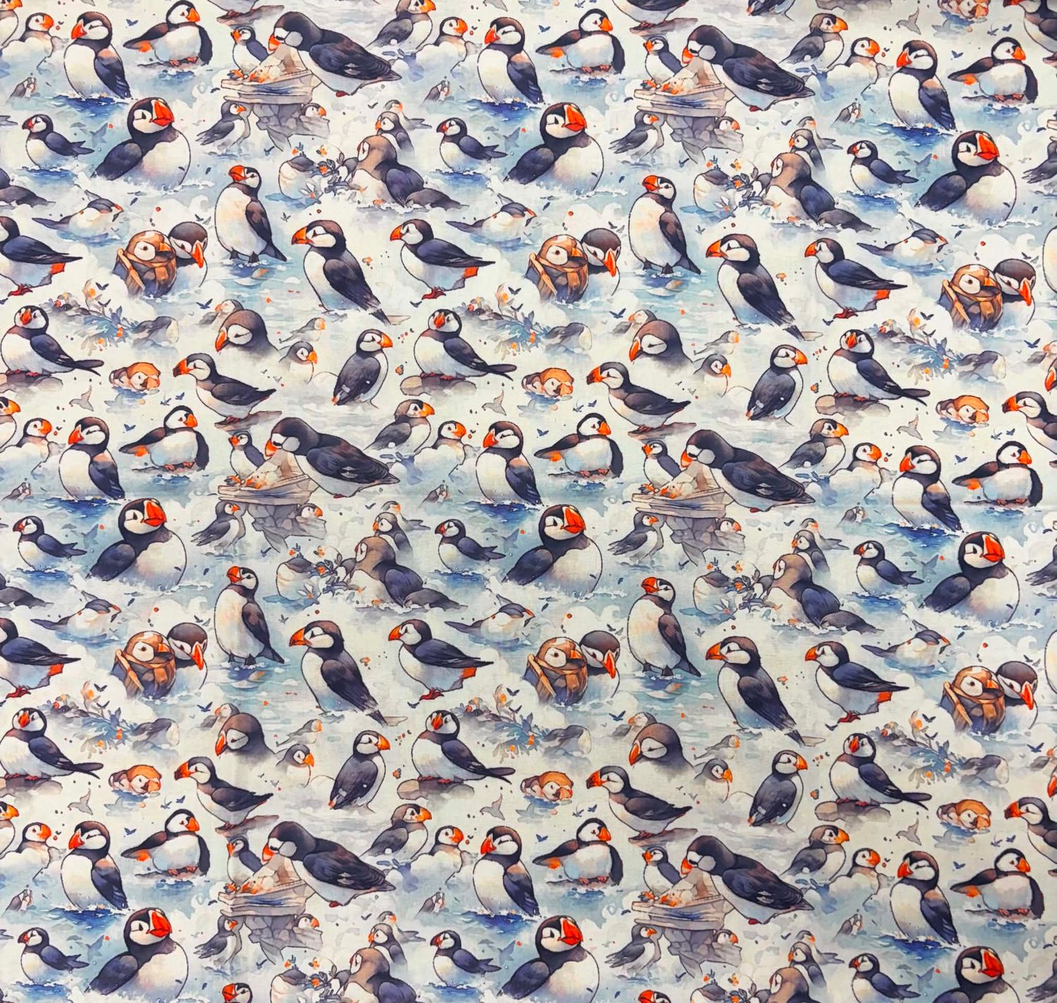 Puffins on White - Sitting
