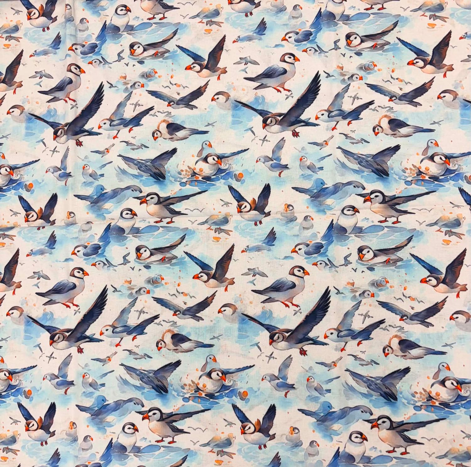 Puffins on White - Flying