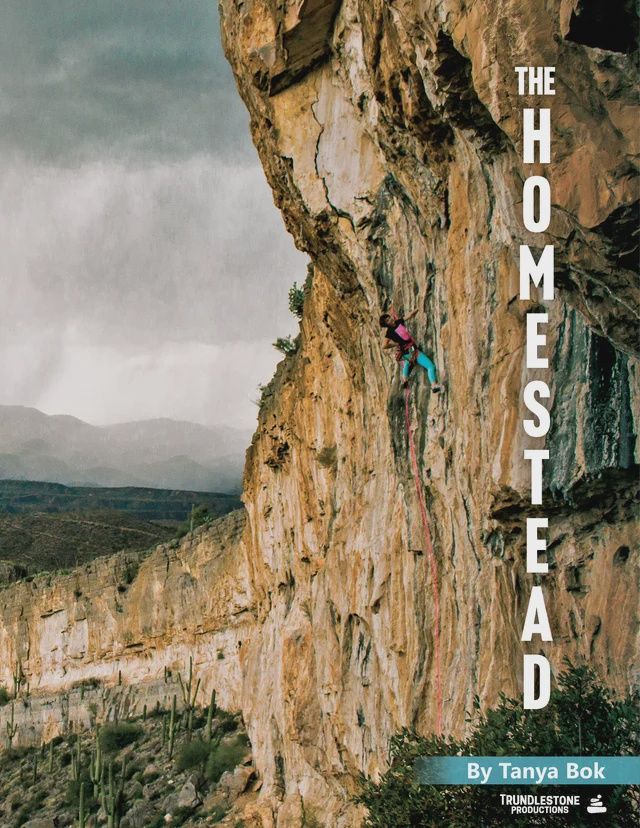 The Homestead AZ Guide