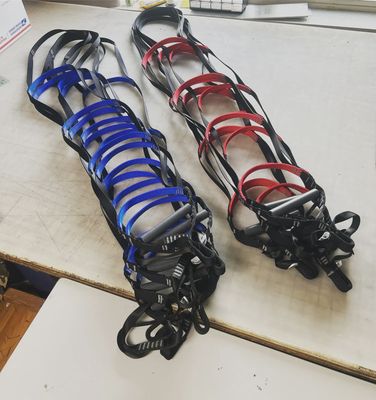 Runout Customs Alpine Aid Ladder