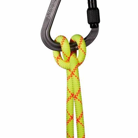 Mammut 9.5 Alpine Core Protect Dry Rope