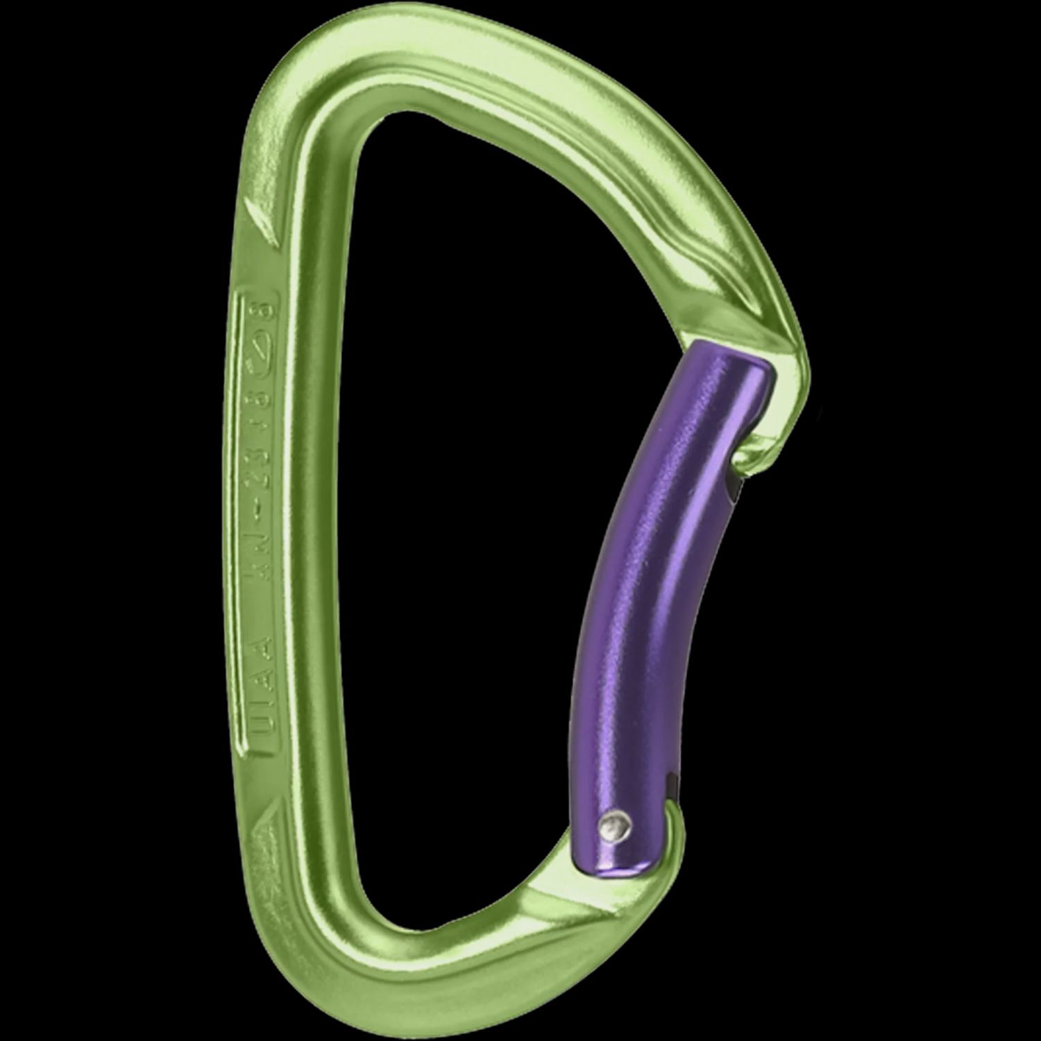 Wild Country Session Carabiner