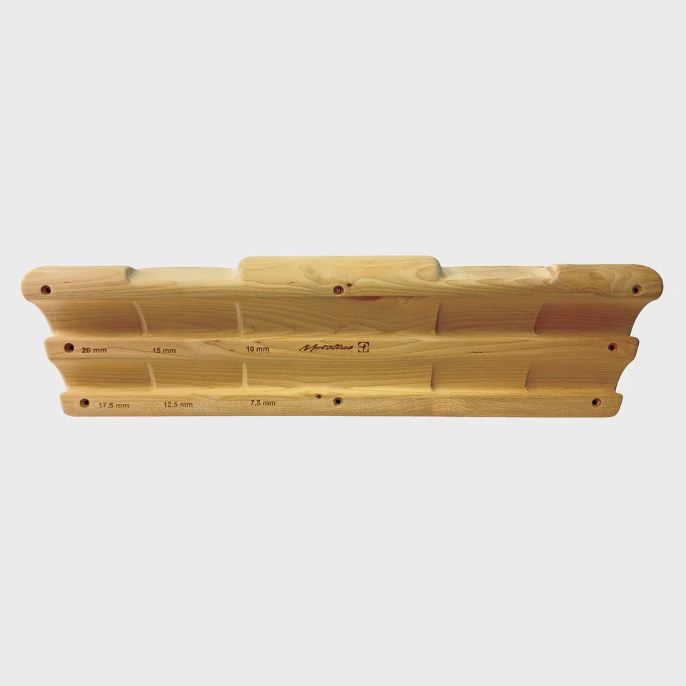 Metolius Climbers Edge Training Board