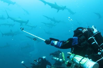 Diving Adventures