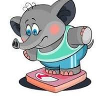 Domestic Shipping Lower 48