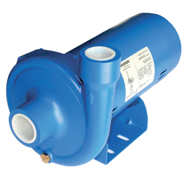 Hyundai 1 HP Water Pump - HWP0021