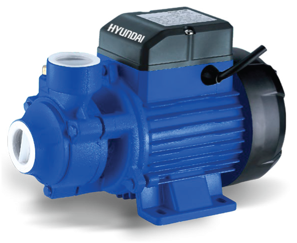 Hyundai 1 HP Water Pump - HWP003