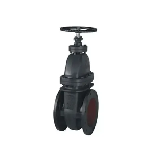 MSS SP-70 Class 250 NRS Cast Iron Gate Valve