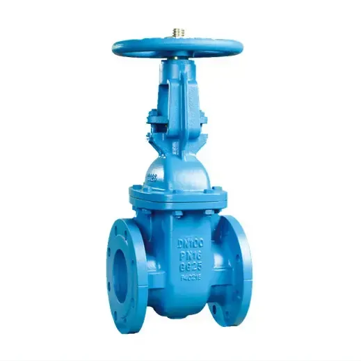 BS5150 PN10 OS&Y Cast Iron Gate Valve