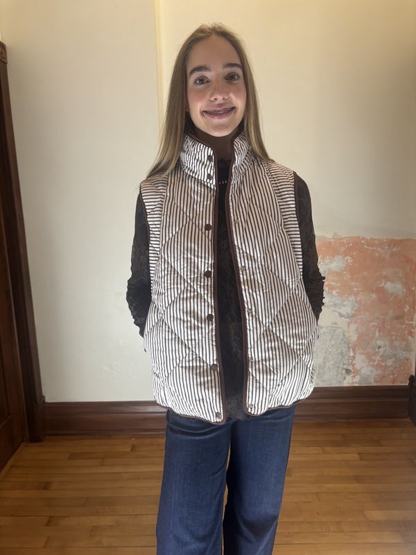 Brown and White Striped Vest