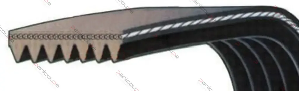 COURROIES STRIEES POLY V MONTE SUR FACONNEUSE JAC