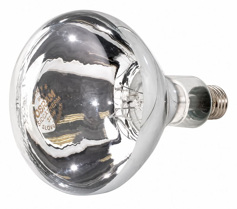 Lampe infrarouge claire 375 W Culot E27