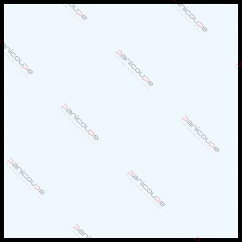 VITRE 520 X 465 X 6 MM - VF202 Adaptable sur four Ramalhos