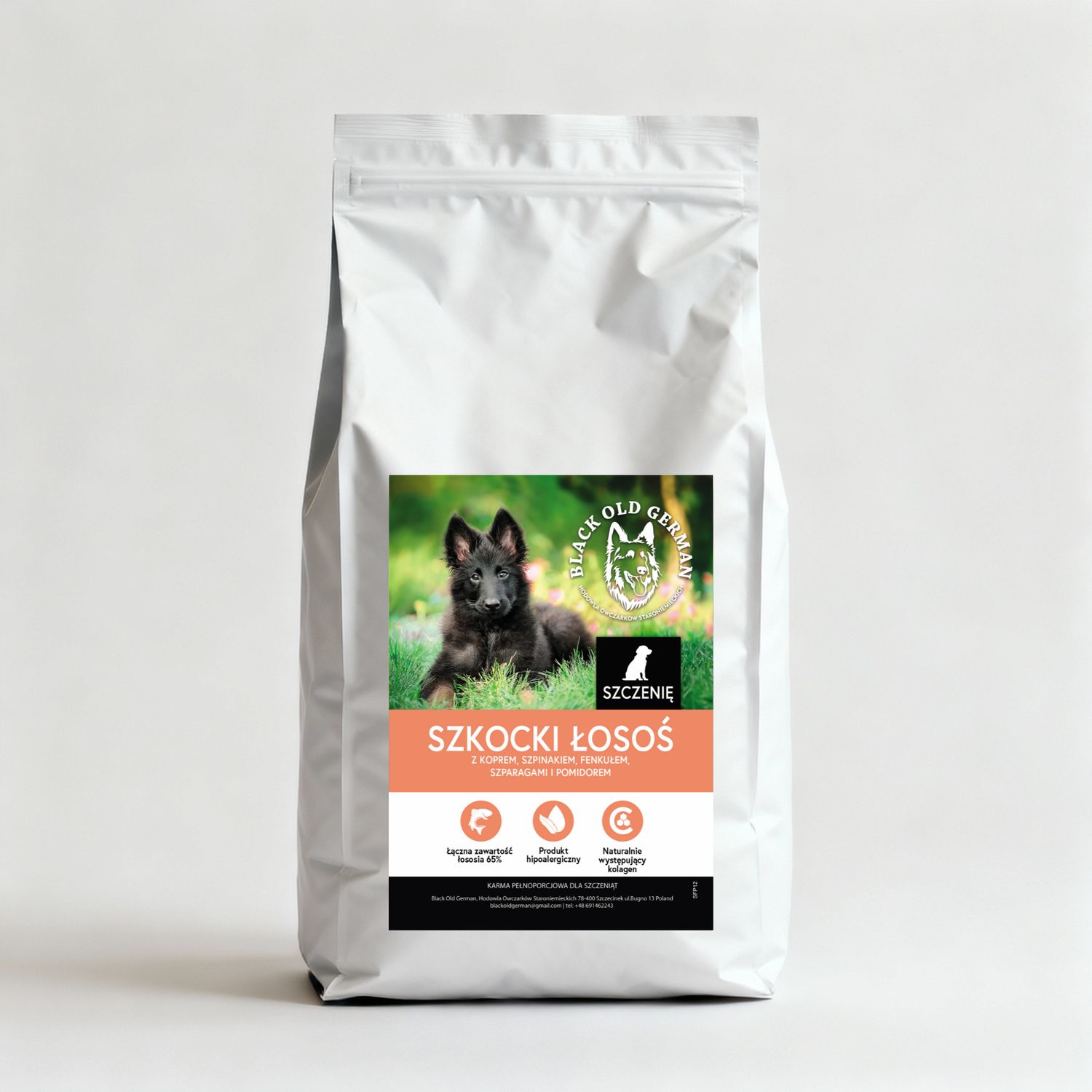 SZKOCKI ŁOSOŚ Z KOPREM, SZPINAKIEM, FENKUŁEM, SZPARAGAMI I POMIDOREM