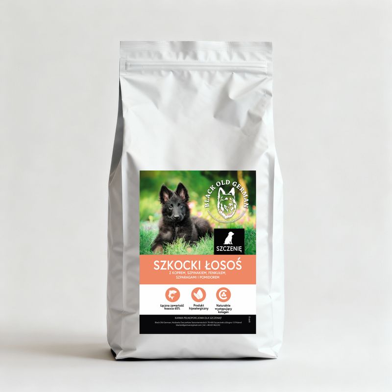 SZKOCKI ŁOSOŚ Z KOPREM, SZPINAKIEM, FENKUŁEM, SZPARAGAMI I POMIDOREM