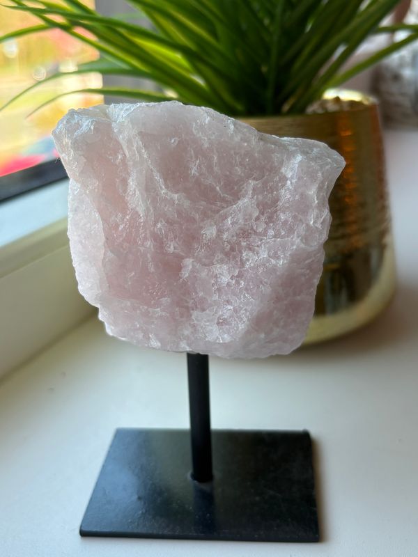 Rozenkwarts op standaard