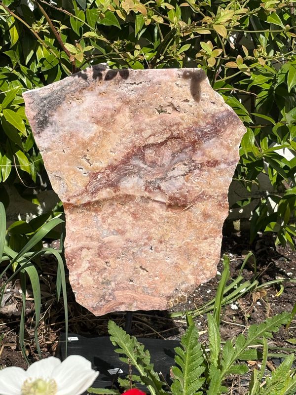 Roze Amethist op standaard