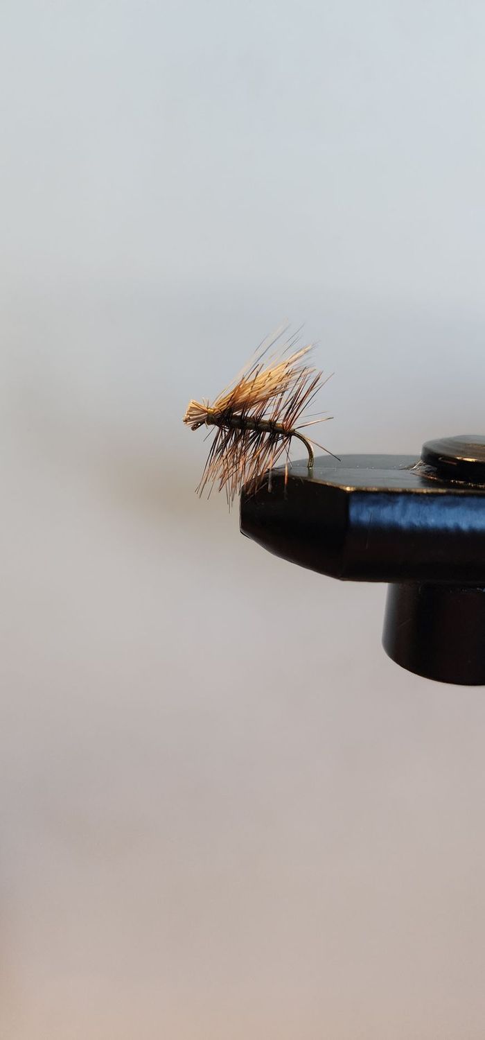Elk Hair Caddis