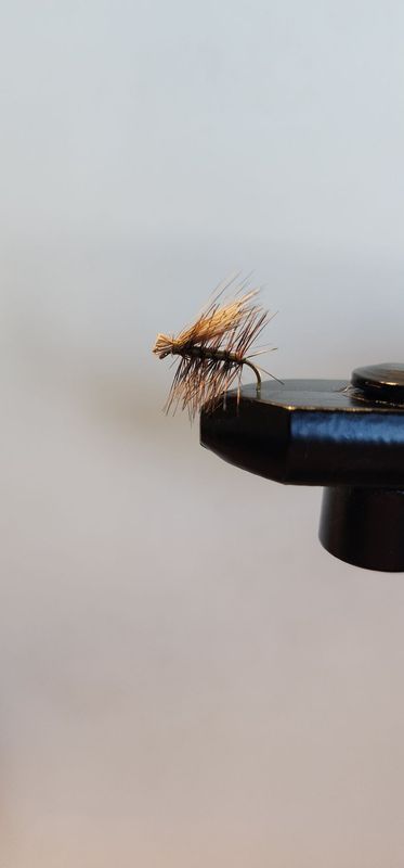 Elk Hair Caddis