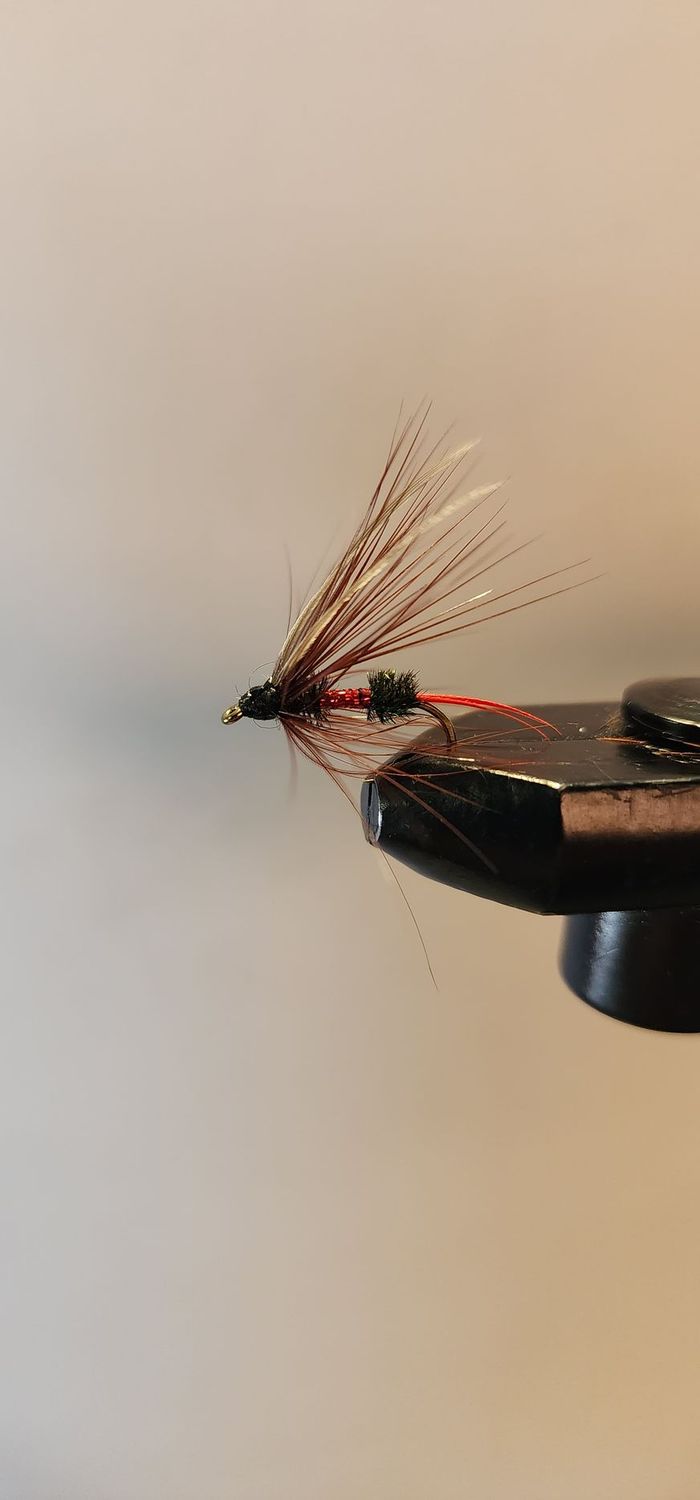 Soft Hackle Royal Coachman