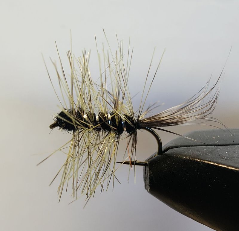 Wooly Gnat (Chartreuse)